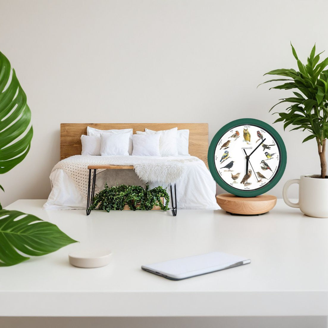 Birdsong Clock  a 199 LEU