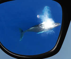 Polaryte Photochromic a 39,99€