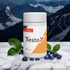 TESTOY