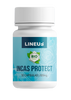 Incas Protect